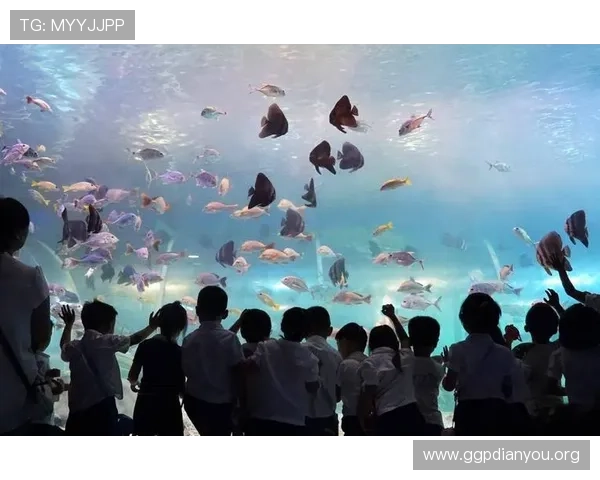探索海立方海洋公园的奇幻海底世界与精彩体验